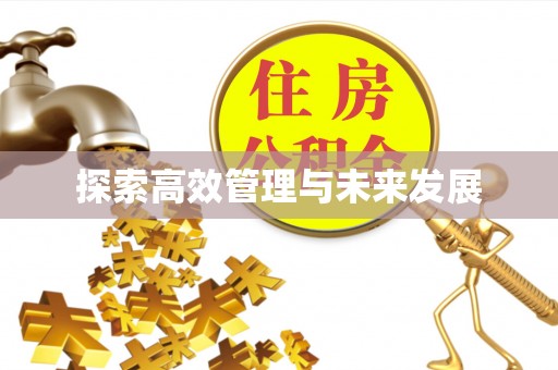 斗门探索高效管理与未来发展