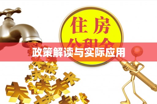 斗门政策解读与实际应用