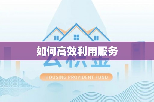 斗门如何高效利用服务