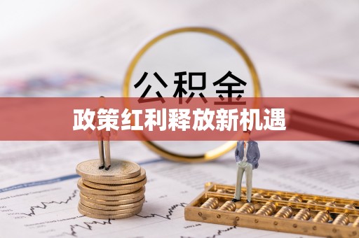 斗门政策红利释放新机遇