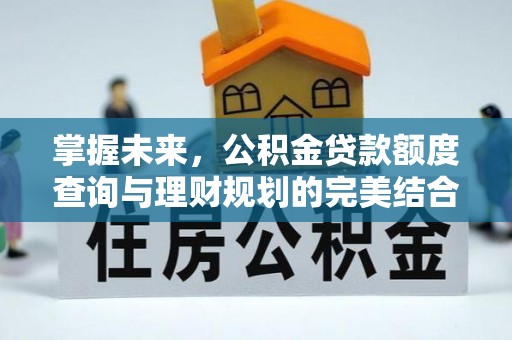 斗门掌握未来，公积金贷款额度查询与理财规划的完美结合