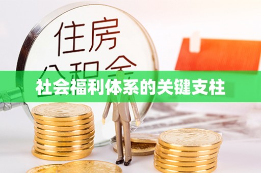 斗门社会福利体系的关键支柱