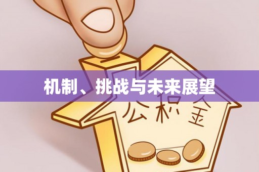 斗门机制、挑战与未来展望