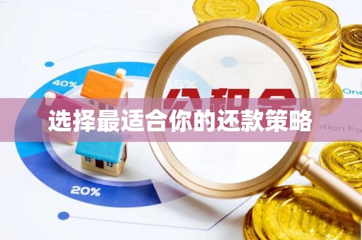 斗门选择最适合你的还款策略