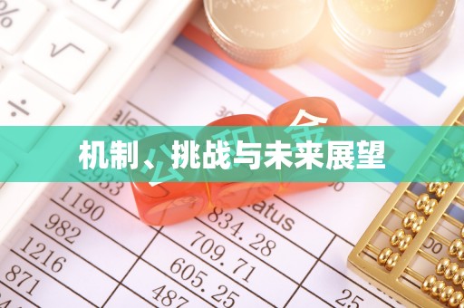 斗门机制、挑战与未来展望