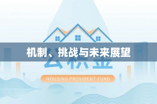 斗门机制、挑战与未来展望